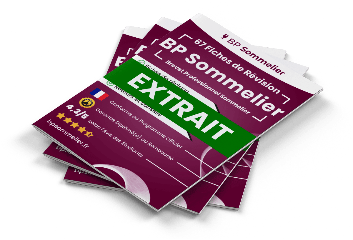 Extrait Fiches Révision gratuites BP Sommelier