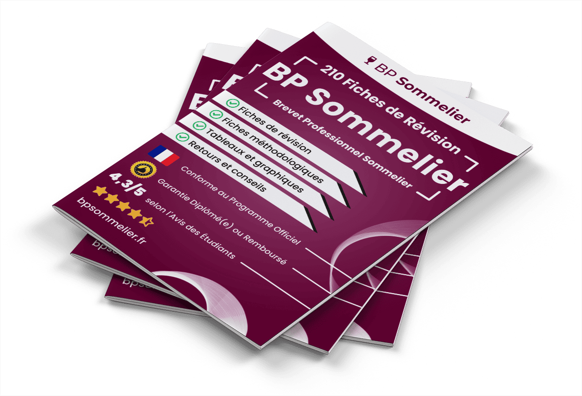 210 Fiches de Révision pour le BP Sommelier